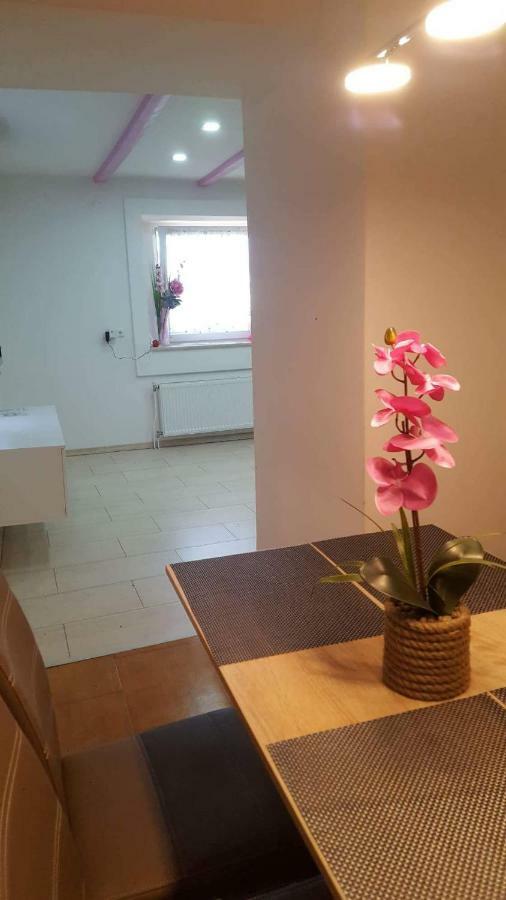 Apartment Goran&Nela Umag Bagian luar foto